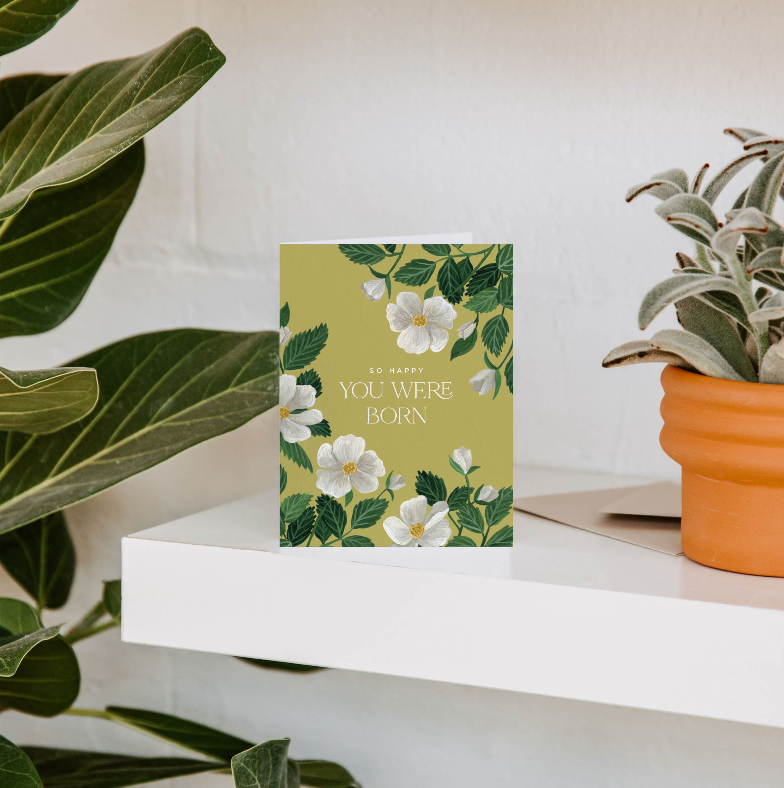 Rosa Happy You Were Born Birthday Greeting Card