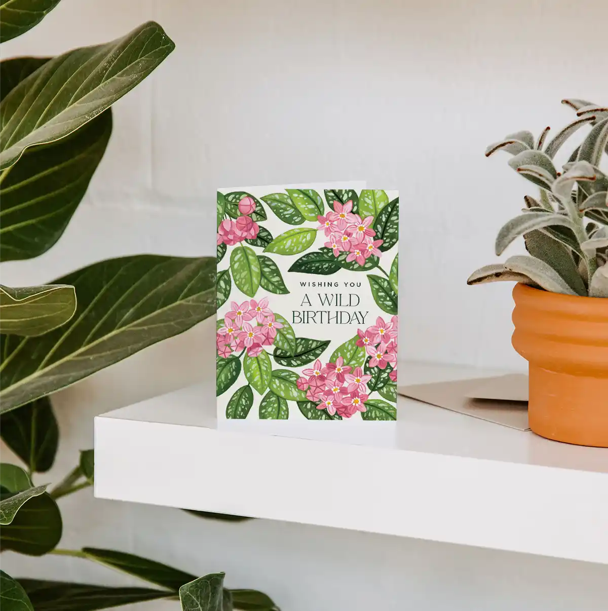 Blooming Hoya Birthday Greeting Card