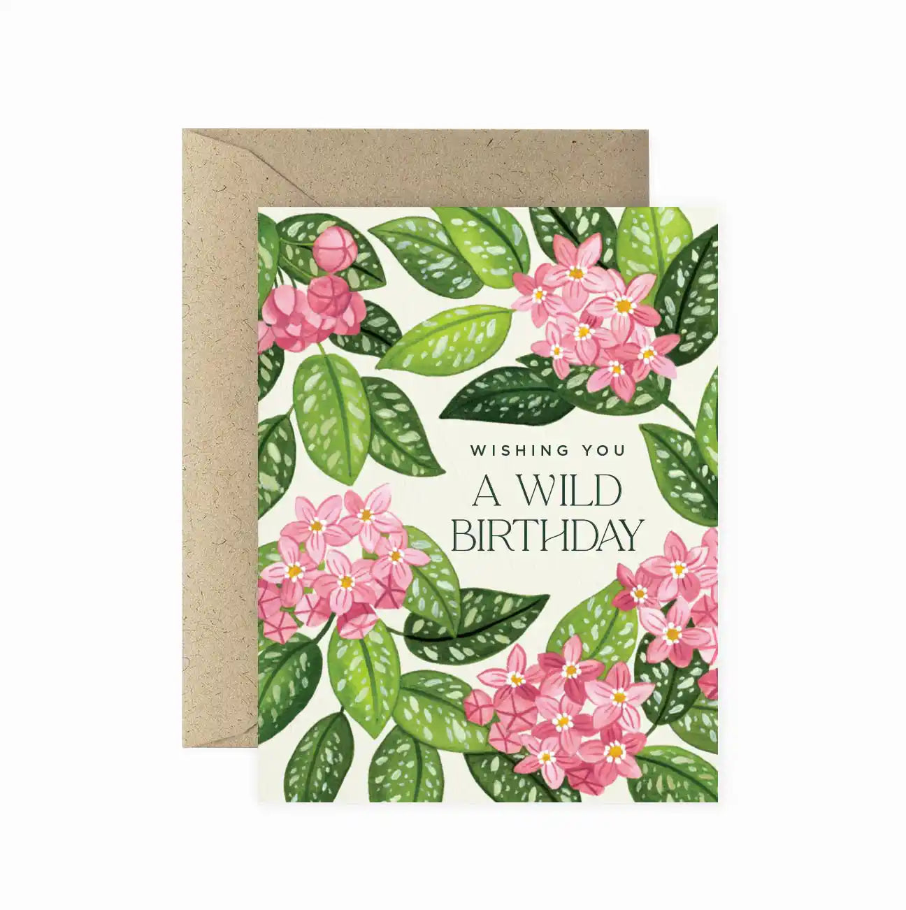 Blooming Hoya Birthday Greeting Card
