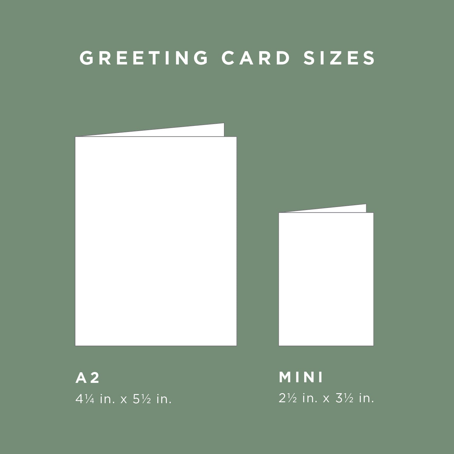 Monstera Mini Greeting Card