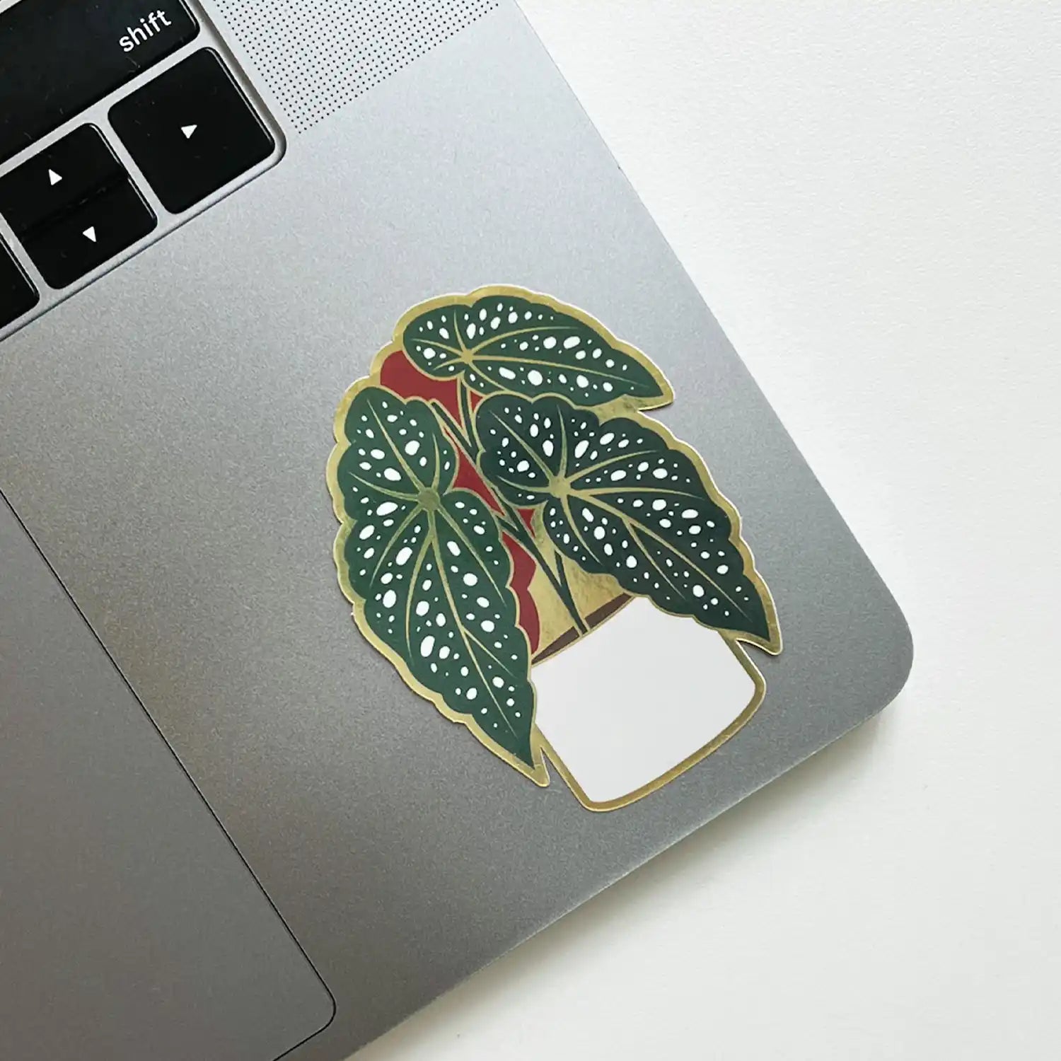 Begonia Sticker — Sticker, begonia maculata by Paper Anchor Co.