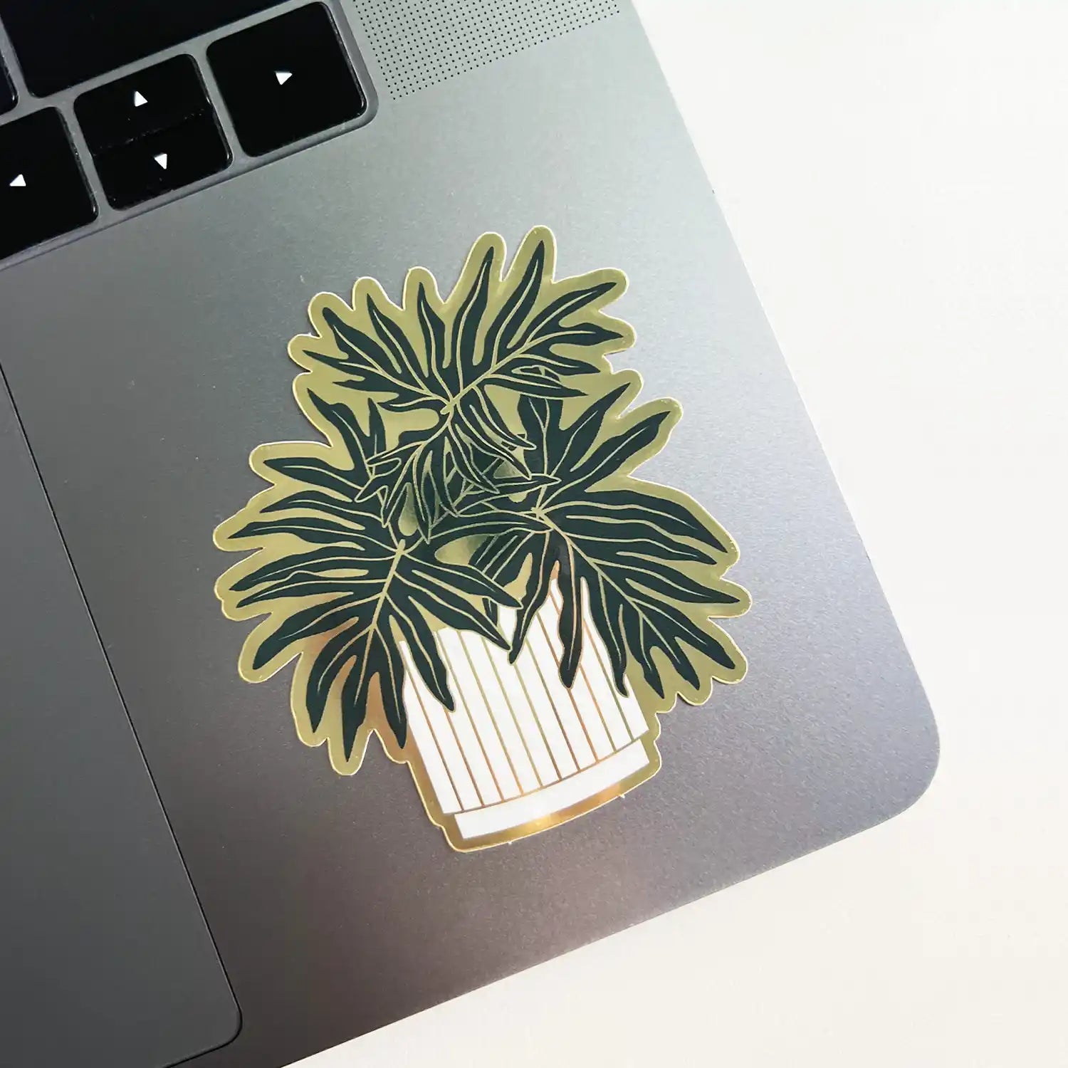 Split-Leaf Philodendron Plant Sticker — Sticker, philodendron plant, philodendron selloum, split leaf philodendron by Paper Anchor Co.