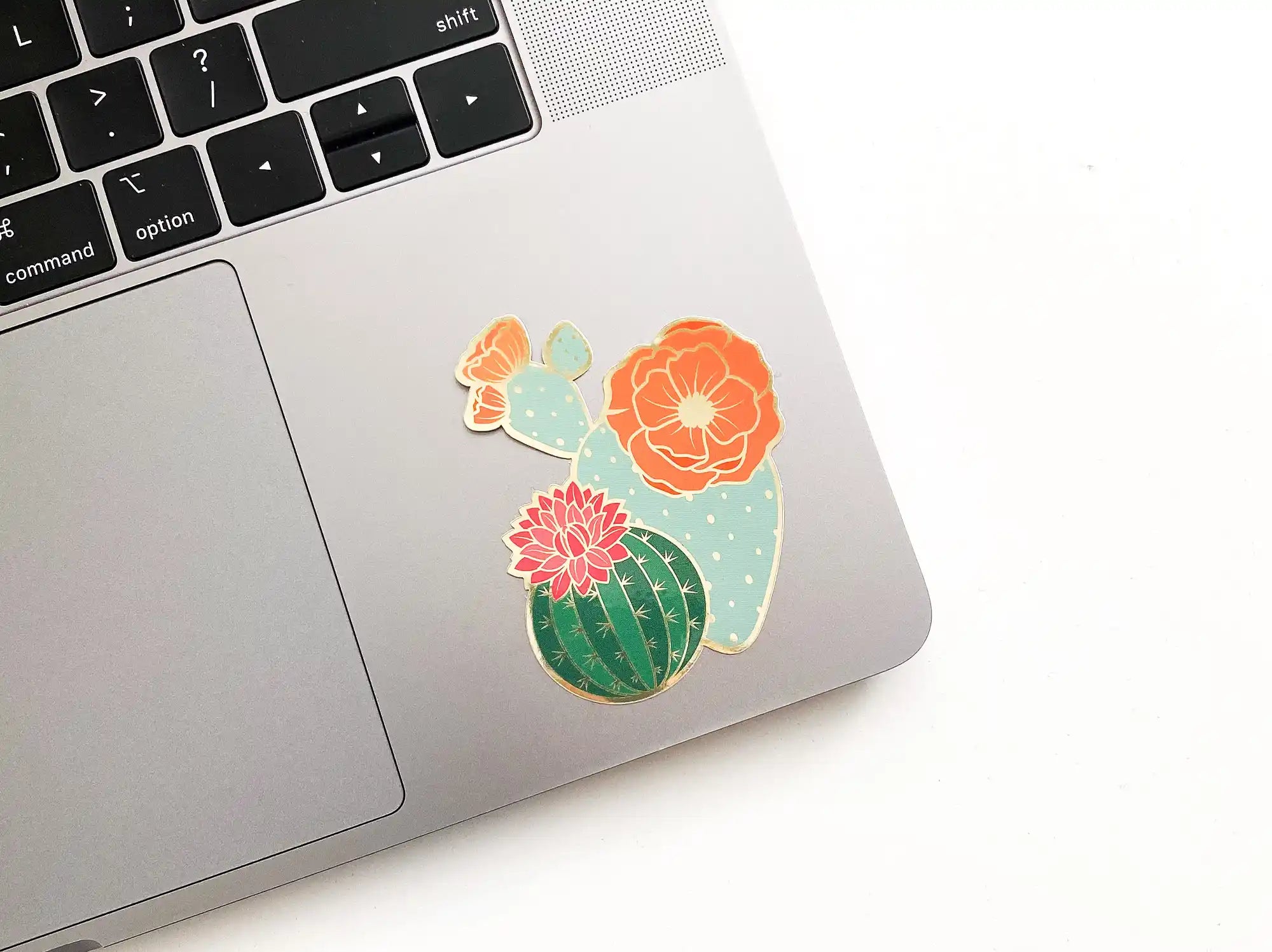 Blooming Cacti Sticker — Sticker, blooming cactus, blooming cactus sticker, cactus, cactus sticker by Paper Anchor Co.