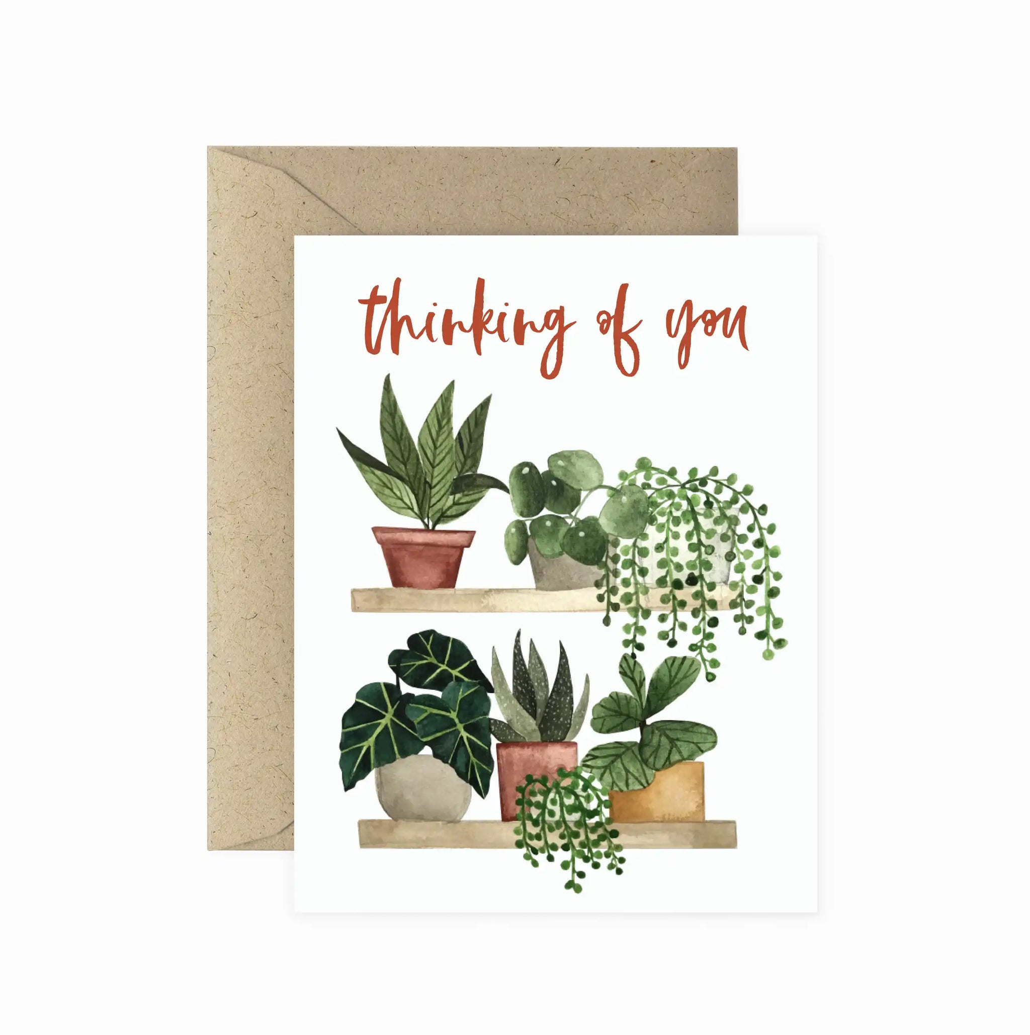 thinking of you succulent Thinking of You Plant Shelf Greeting Card