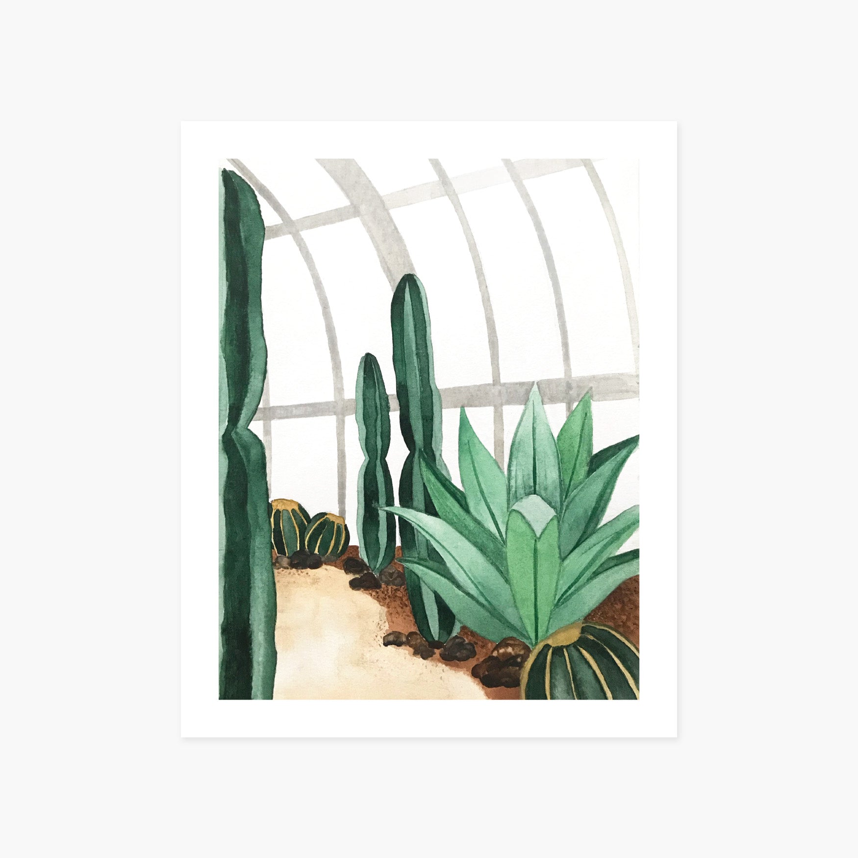 Cactus Conservatory Art Print