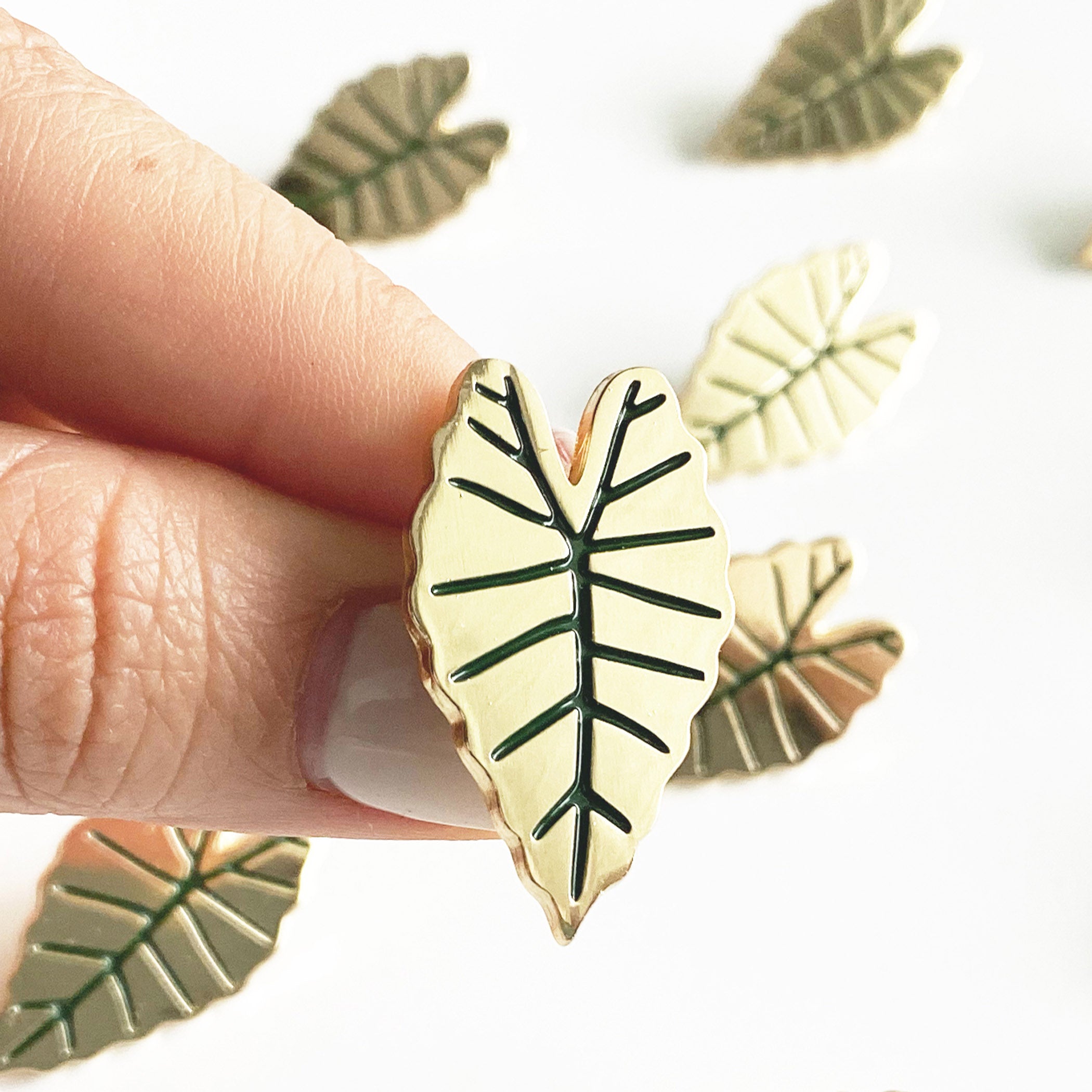 Alocasia Leaf Lapel Pin – Paper Anchor Co.