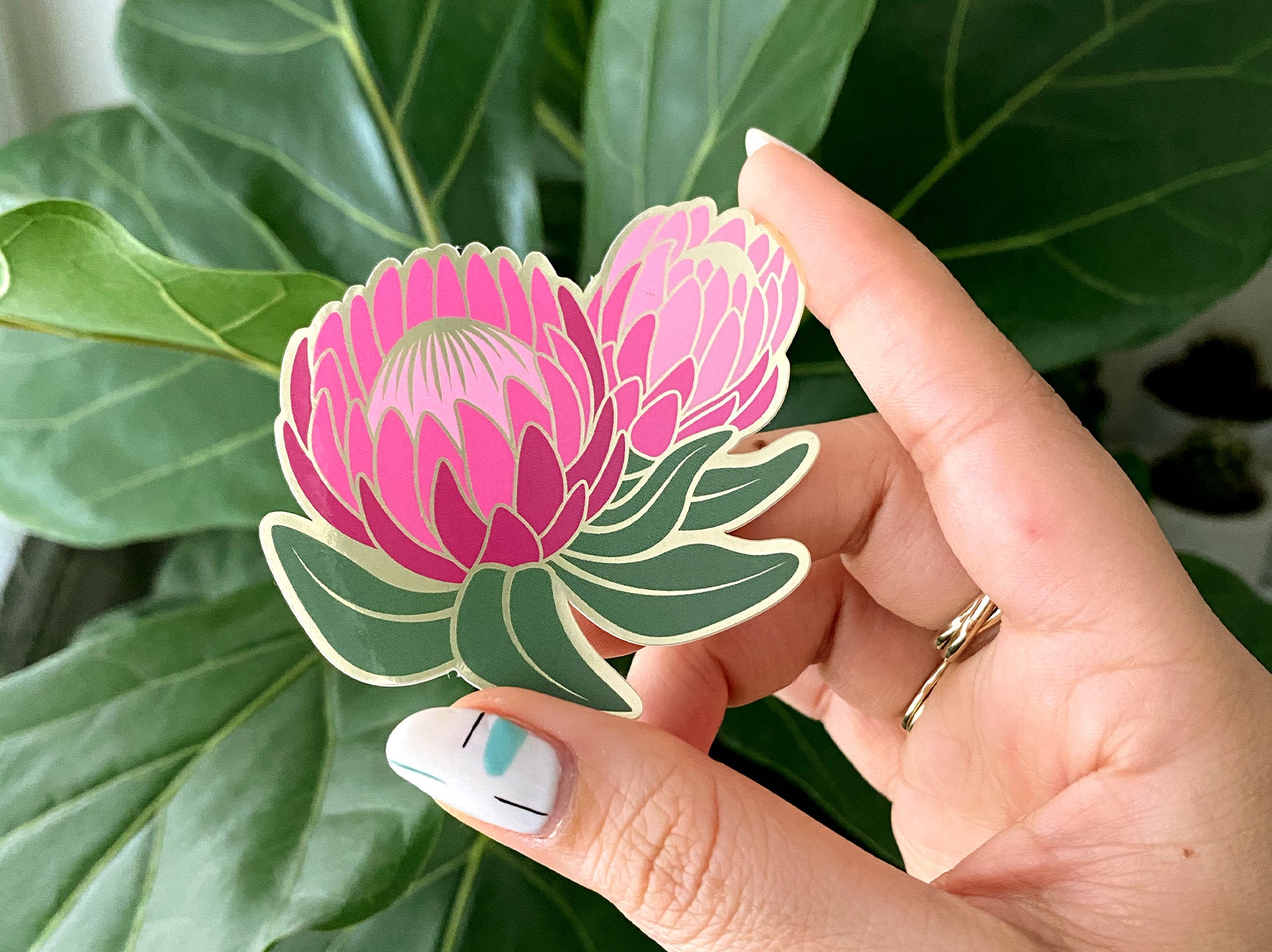 Ofelia Protea Sticker
