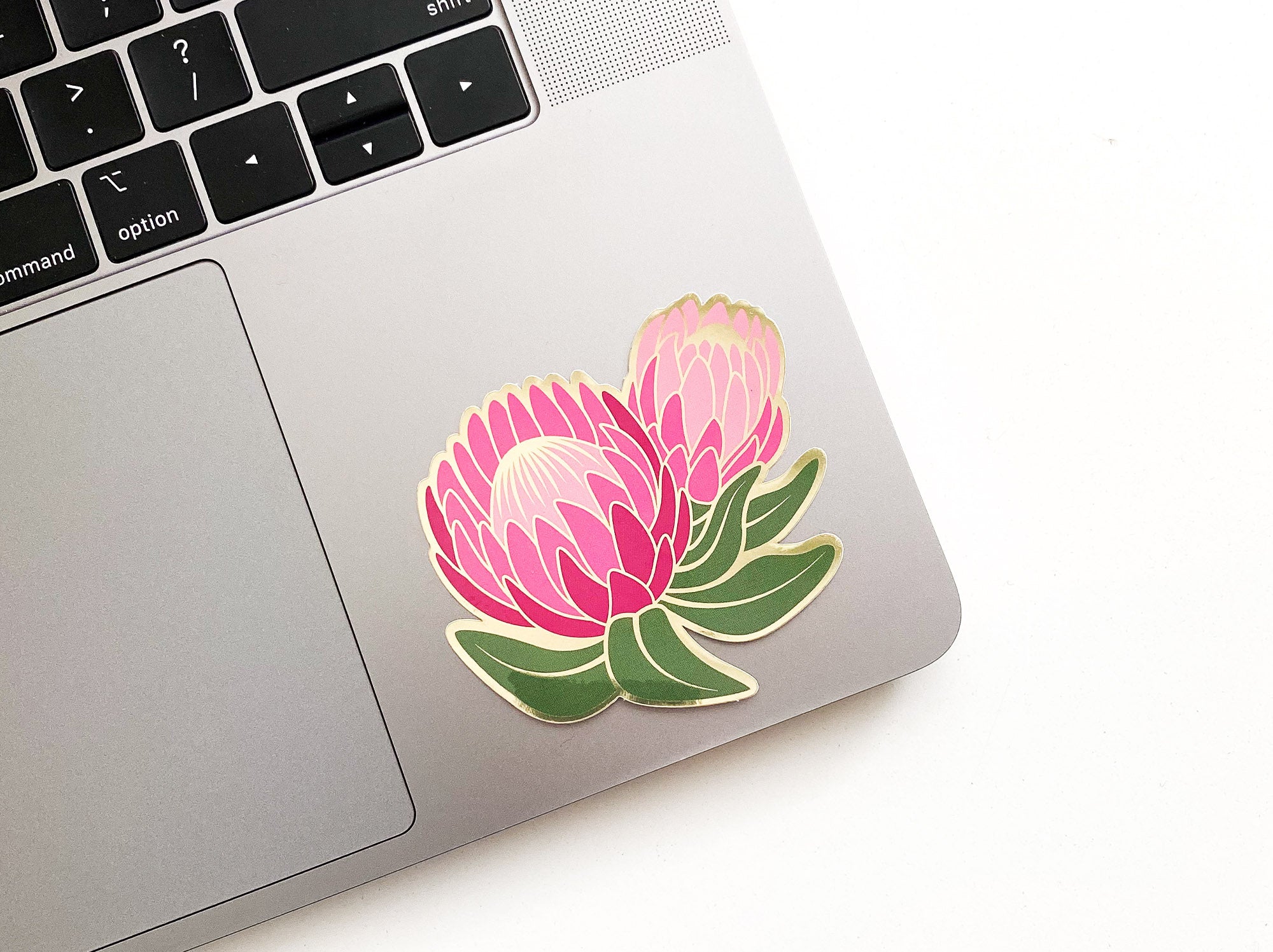 Ofelia Protea Sticker