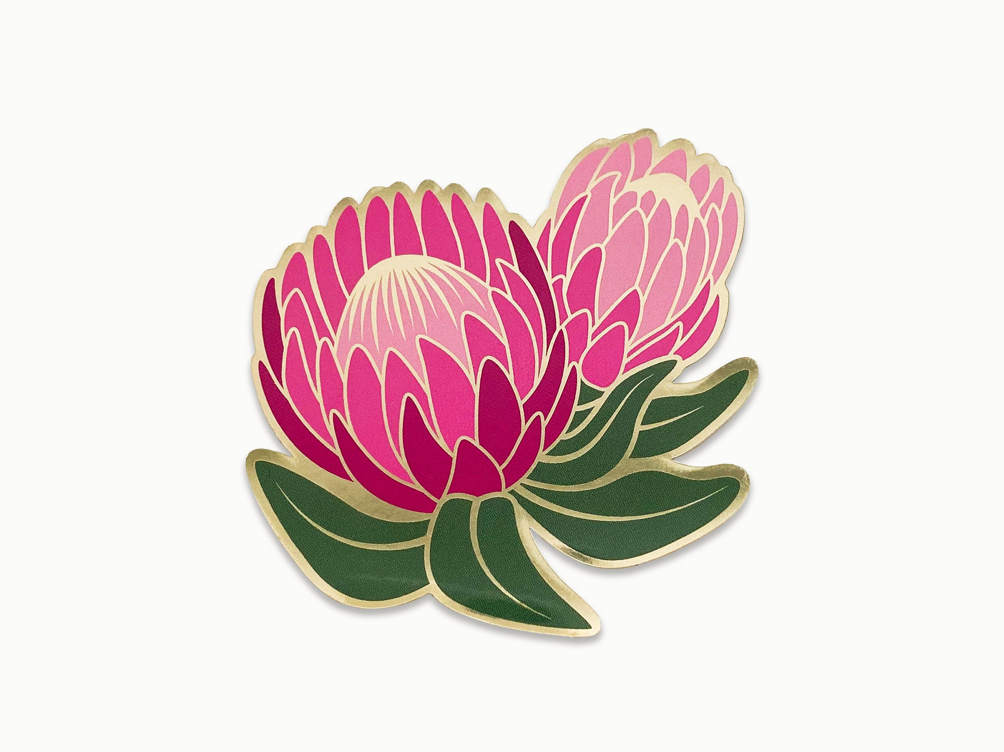 Ofelia Protea Sticker