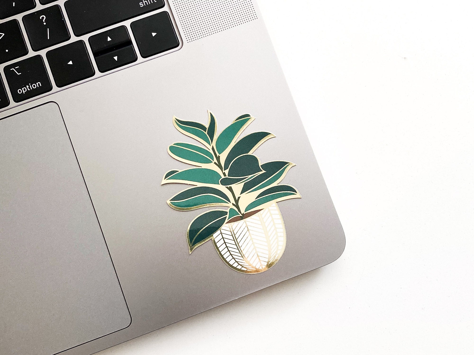 Rubber Tree Sticker