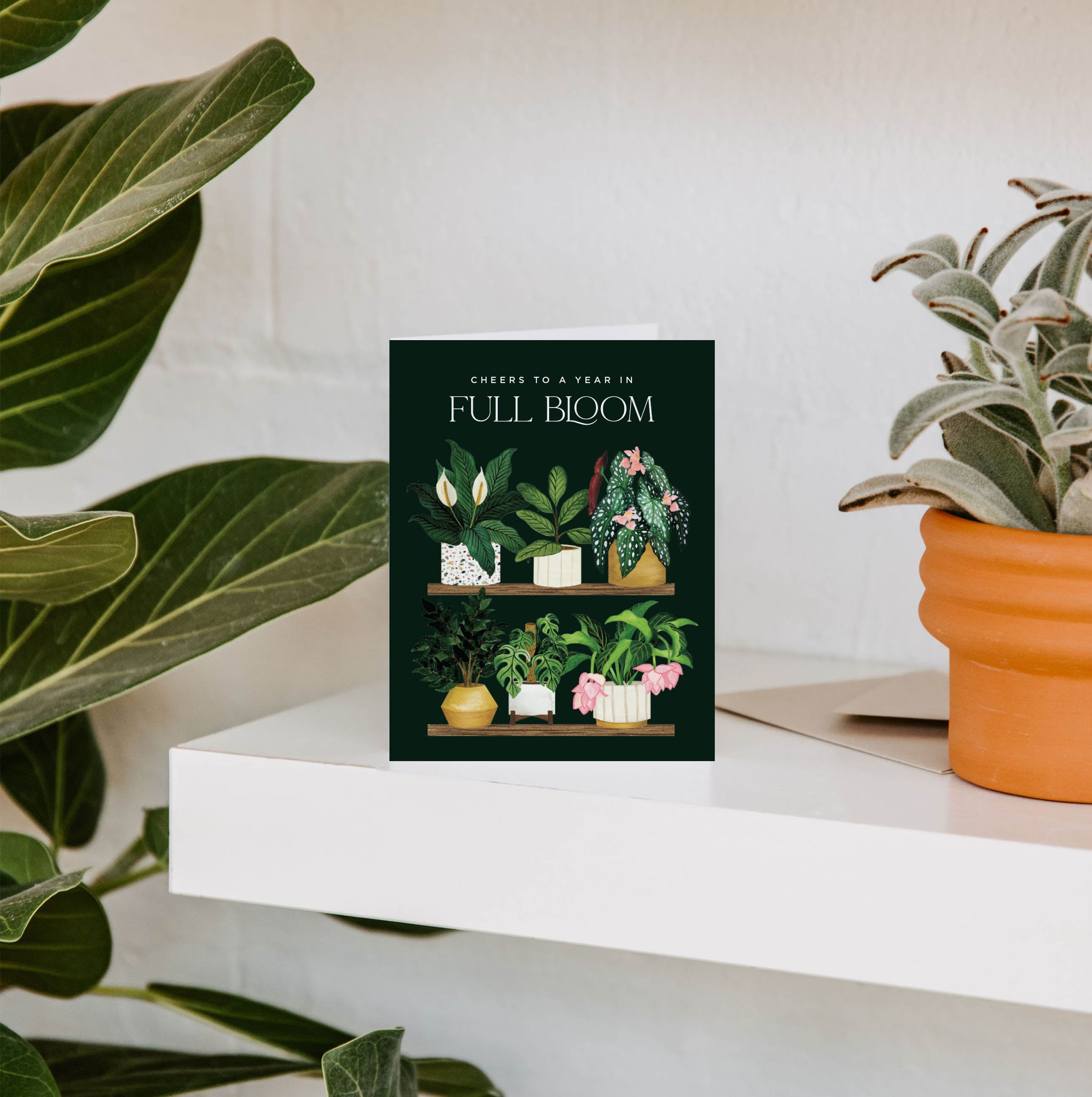 Full Bloom Plant Shelf Birthday Greeting Card