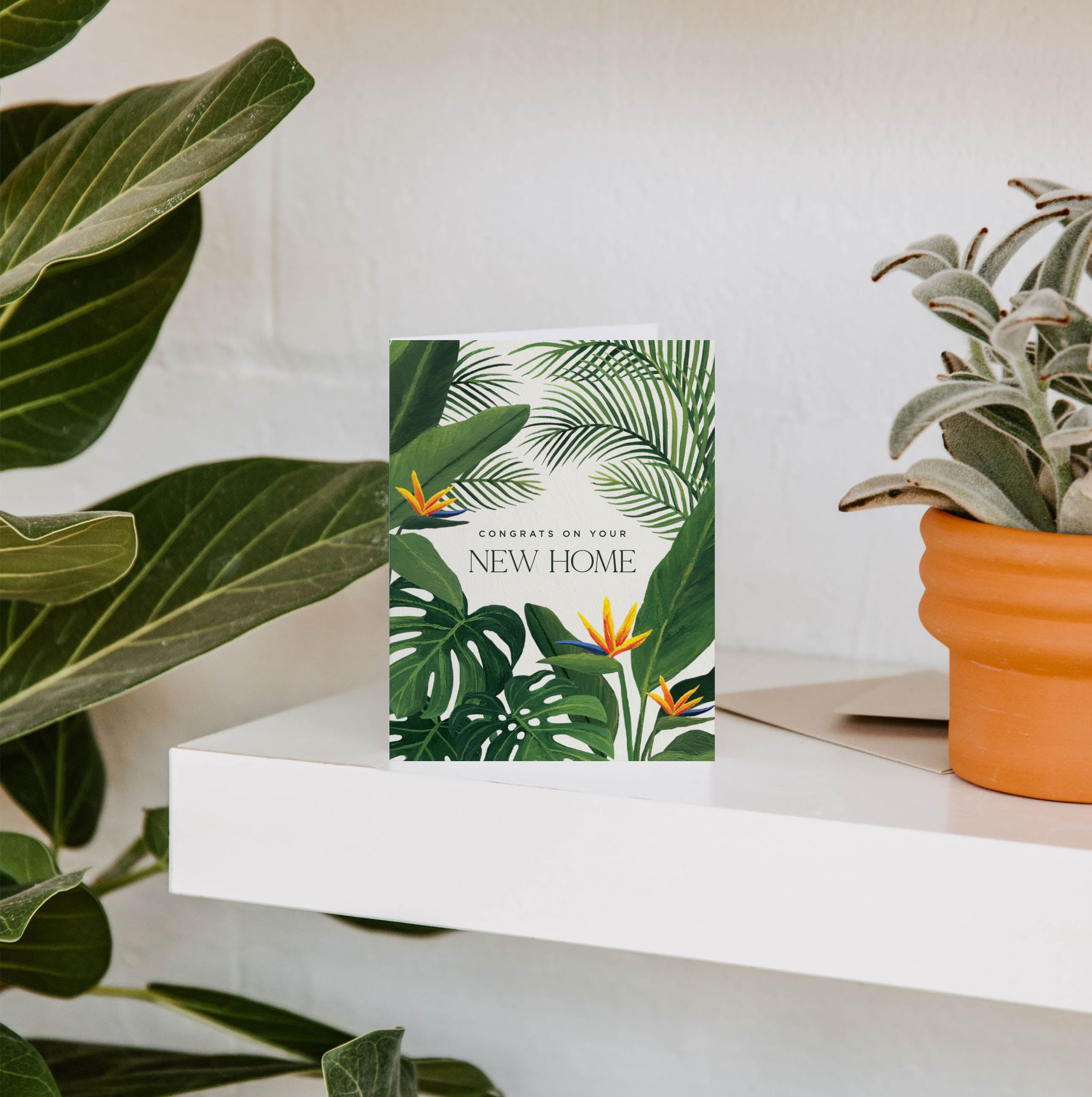 New Home Tropical Greeting Card