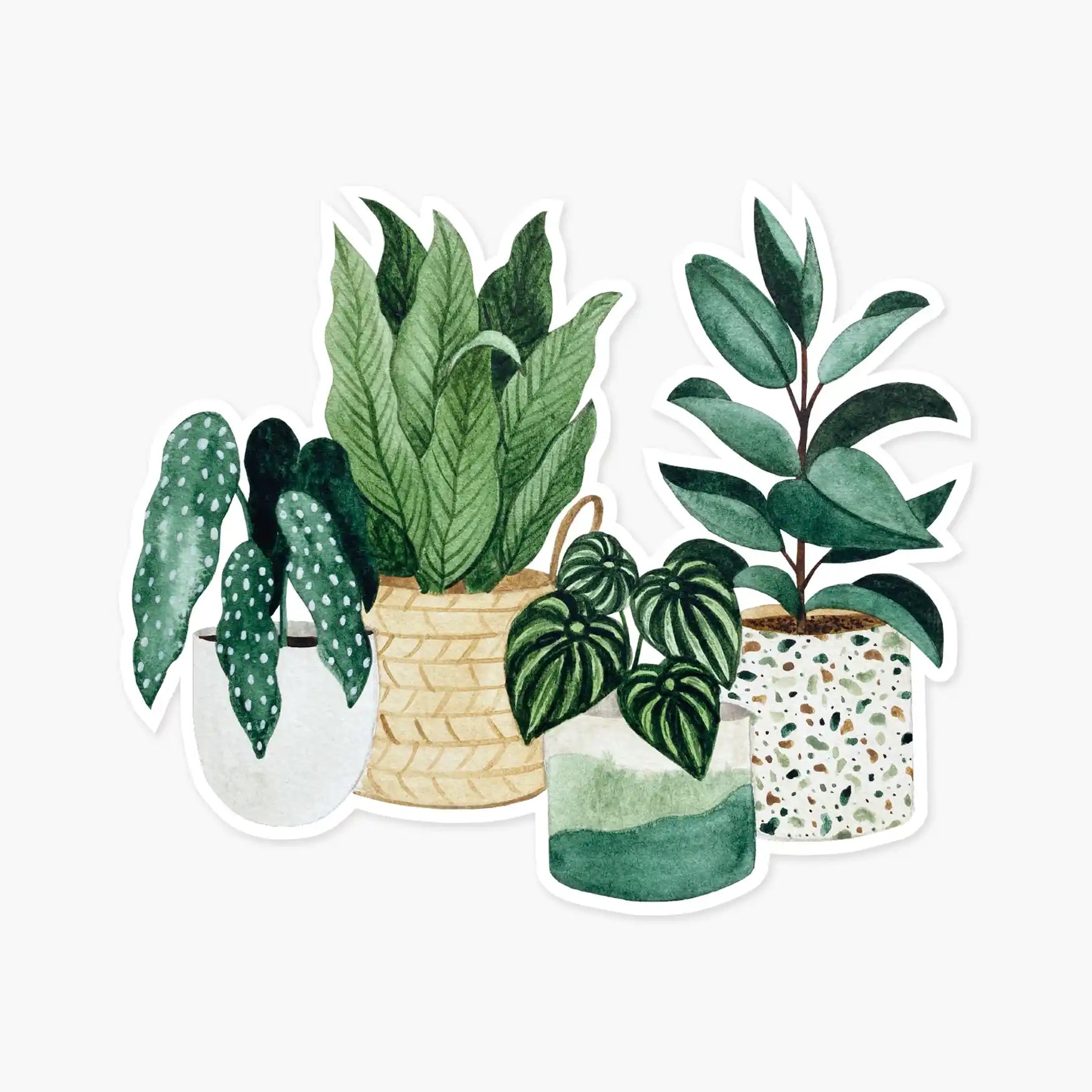 Potted Plants Clear Sticker — Sticker, potted plants sticker by Paper Anchor Co.