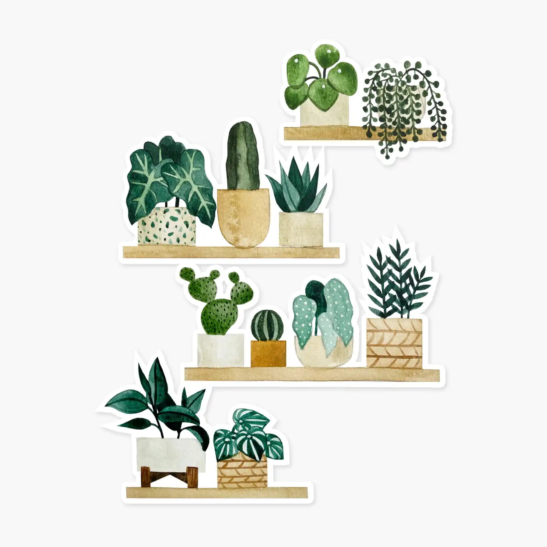 Plant Shelf Clear Sticker — Sticker, plant shelf sticker, potted plants sticker by Paper Anchor Co.