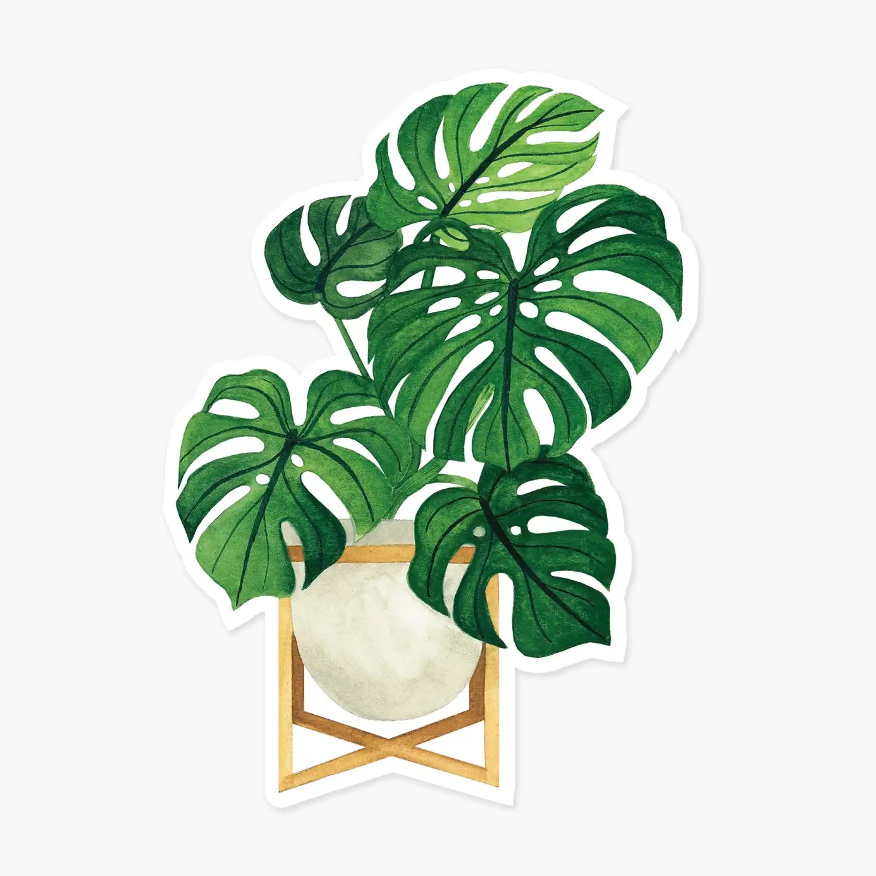 Monstera Plant Clear Sticker — Sticker, monstera, monstera plant, potted plants sticker, rare houseplants by Paper Anchor Co.