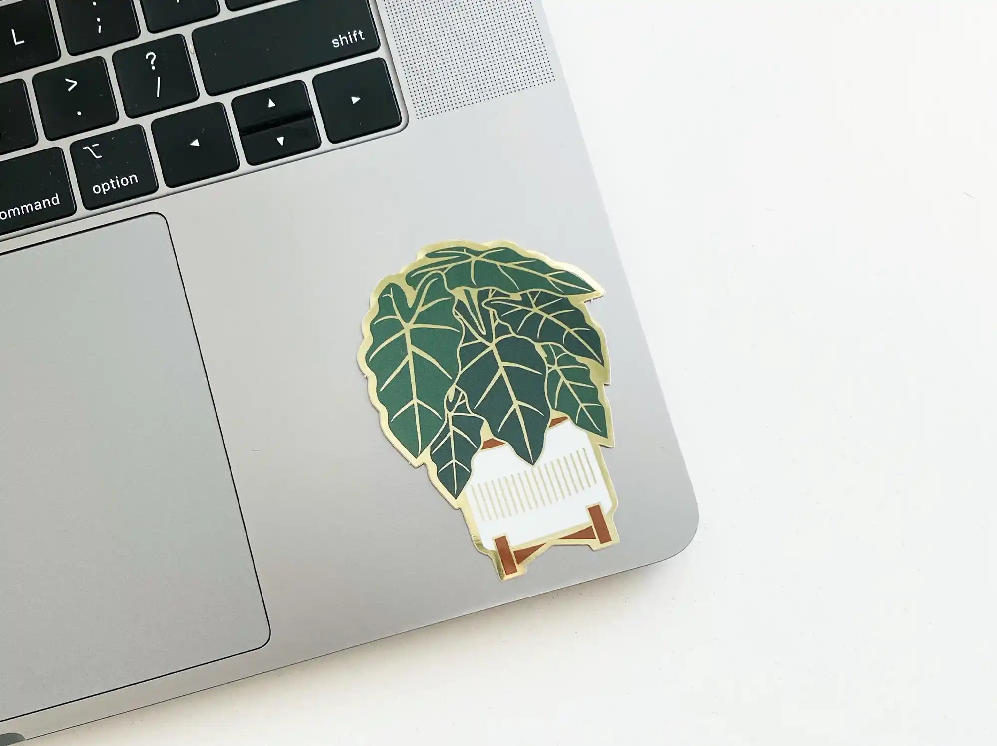 Alocasia Sticker — Sticker, alocasia plant, alocasia sticker by Paper Anchor Co.