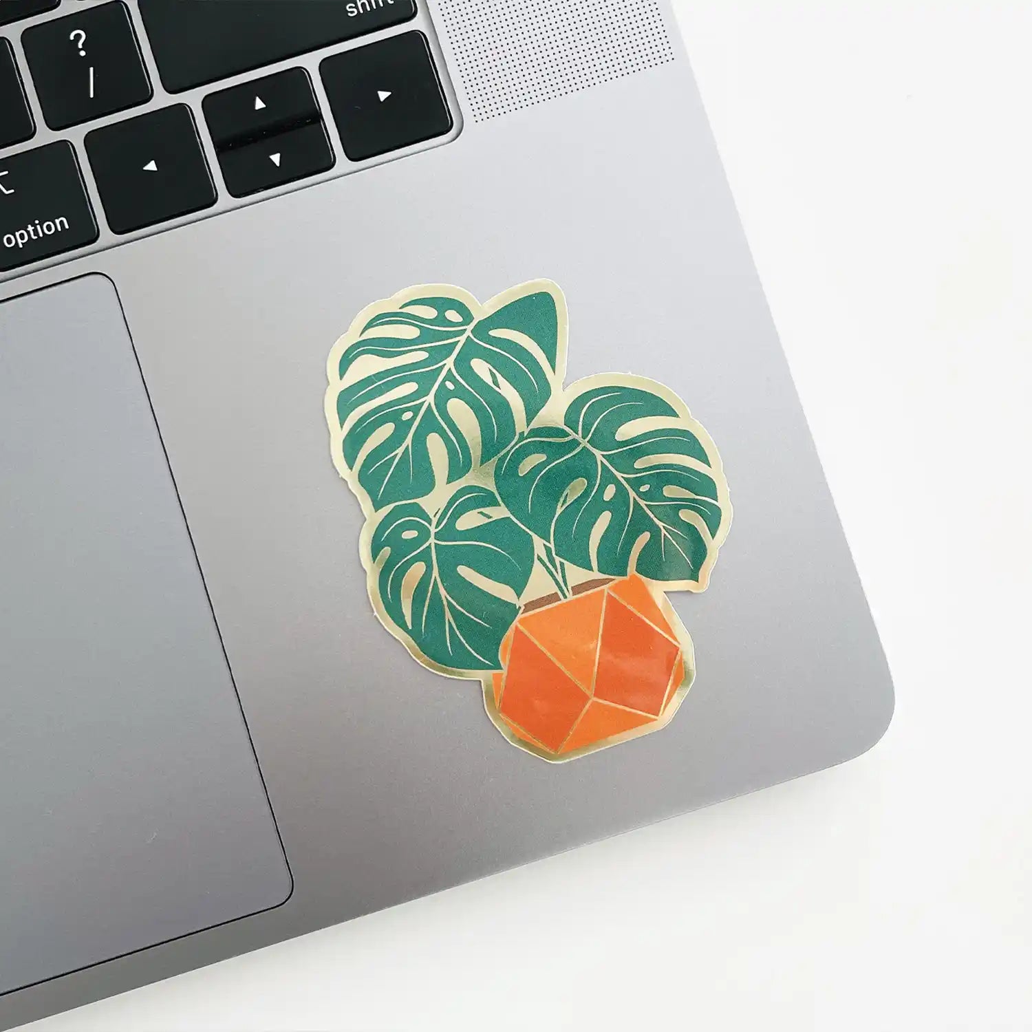 Monstera Sticker — Sticker, alocasia plant, water lily by Paper Anchor Co.