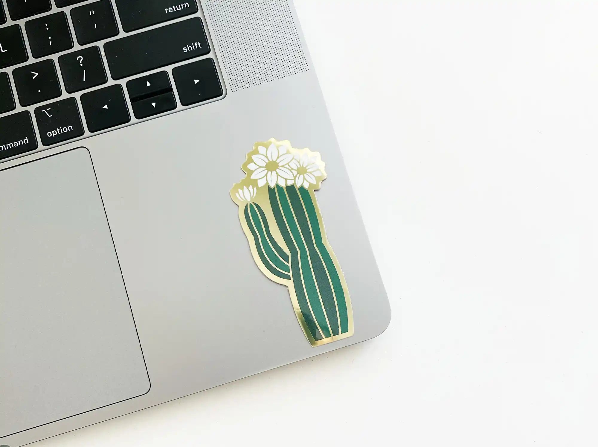 Olivia Blooming Cactus Sticker — Sticker, blooming cactus sticker, cactus sticker, pilea plant, pilea sticker by Paper Anchor Co.