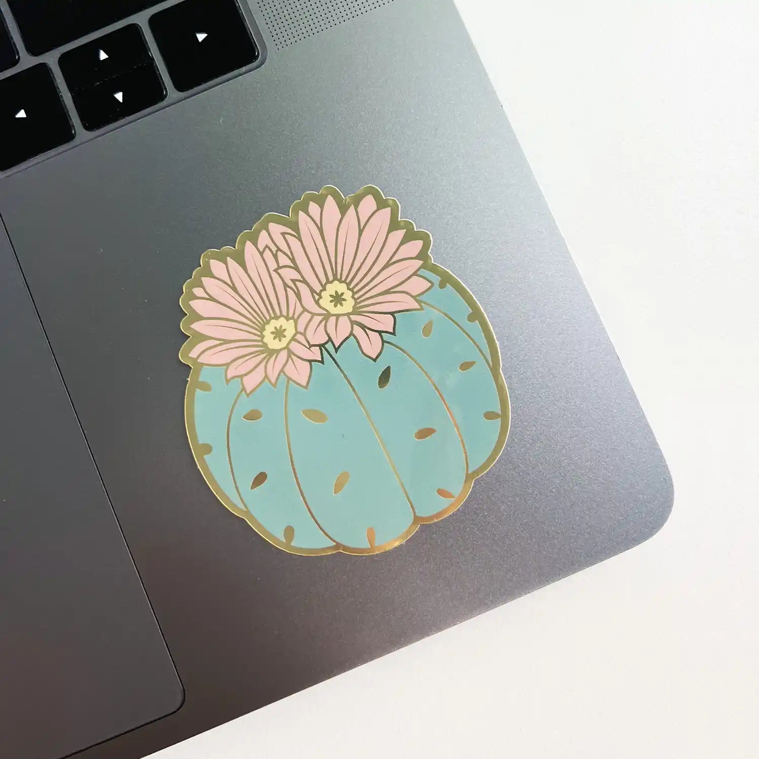 Ricsie Blooming Cactus Sticker — Sticker, blooming cactus sticker, cactus sticker, pilea plant, pilea sticker by Paper Anchor Co.
