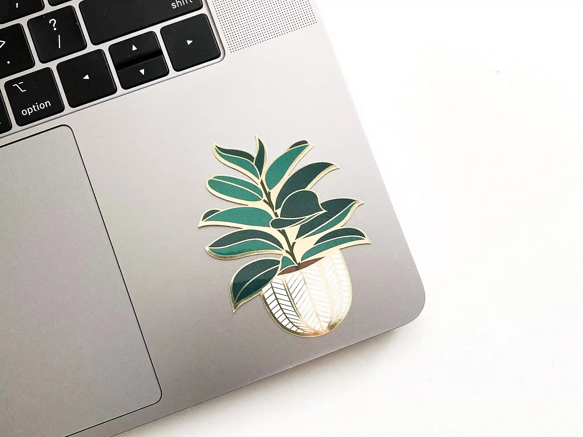 Rubber Tree Sticker — Sticker, rubber tree, rubber tree sticker by Paper Anchor Co.