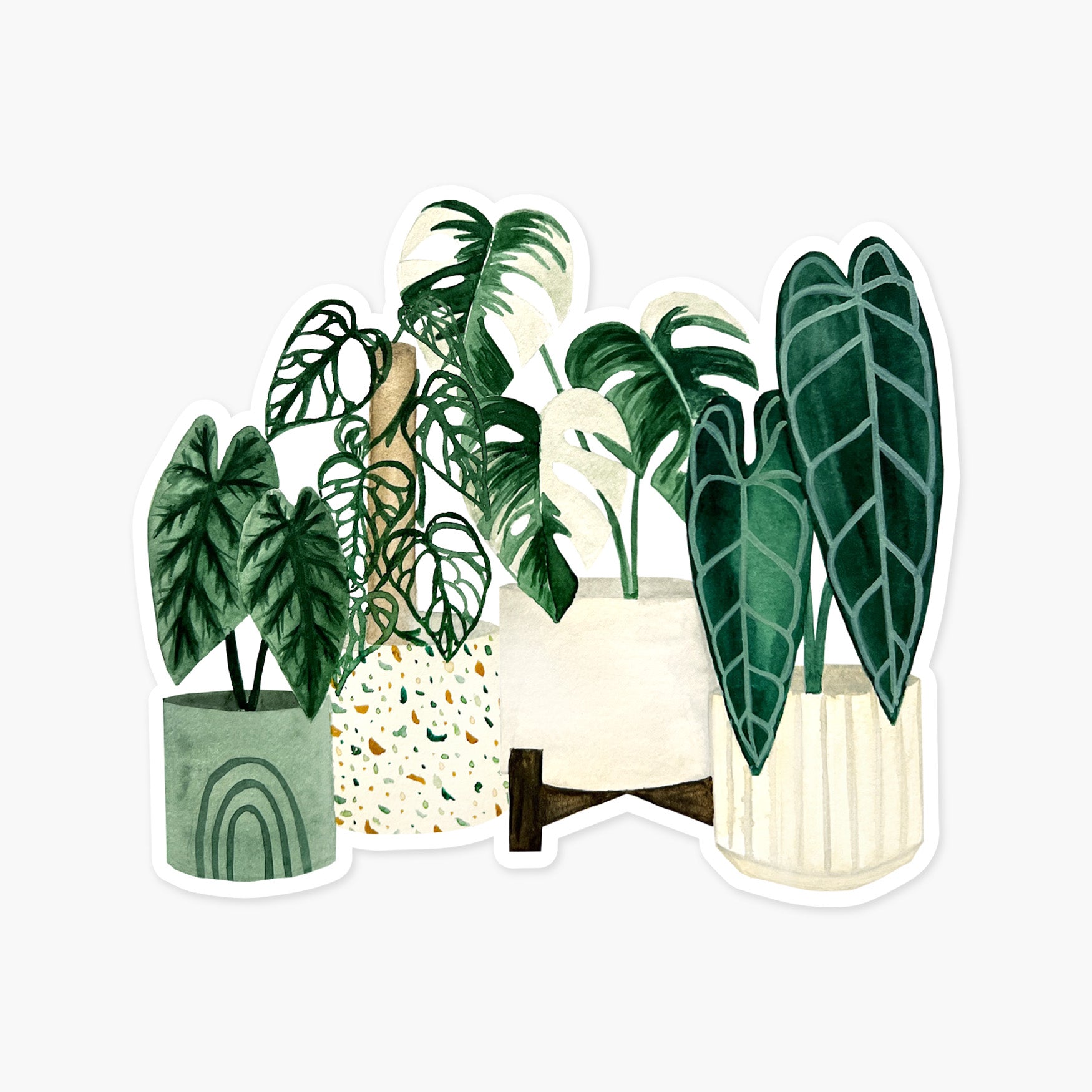 Rare Plants Clear Sticker