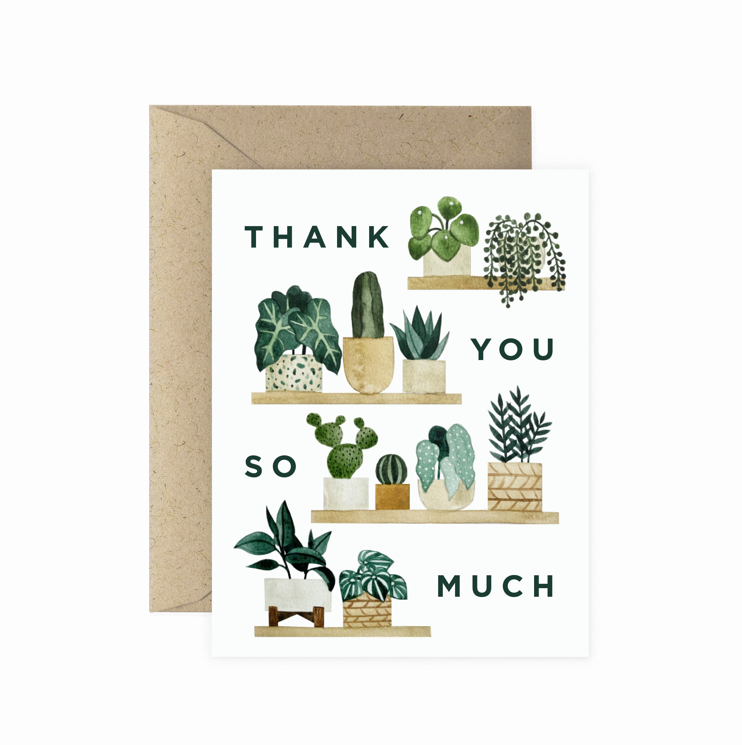 Thank You Plant Shelf Greeting Card – Paper Anchor Co.